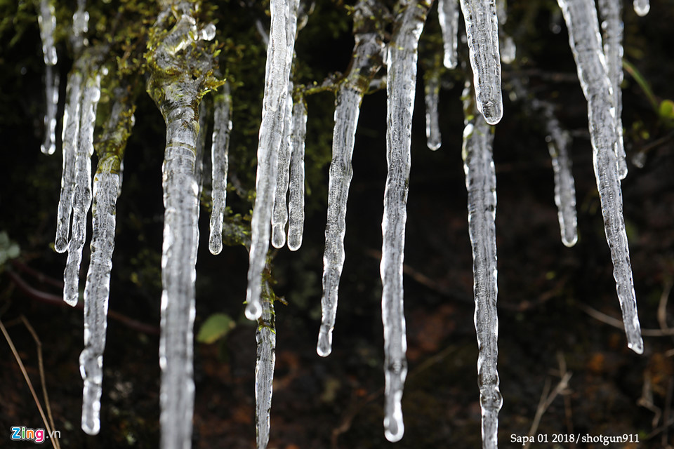 Hình ảnh macro tuyệt đẹp về băng giá Sa Pa